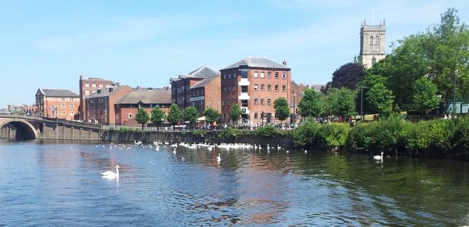 Town Canal-Side with Many Swans